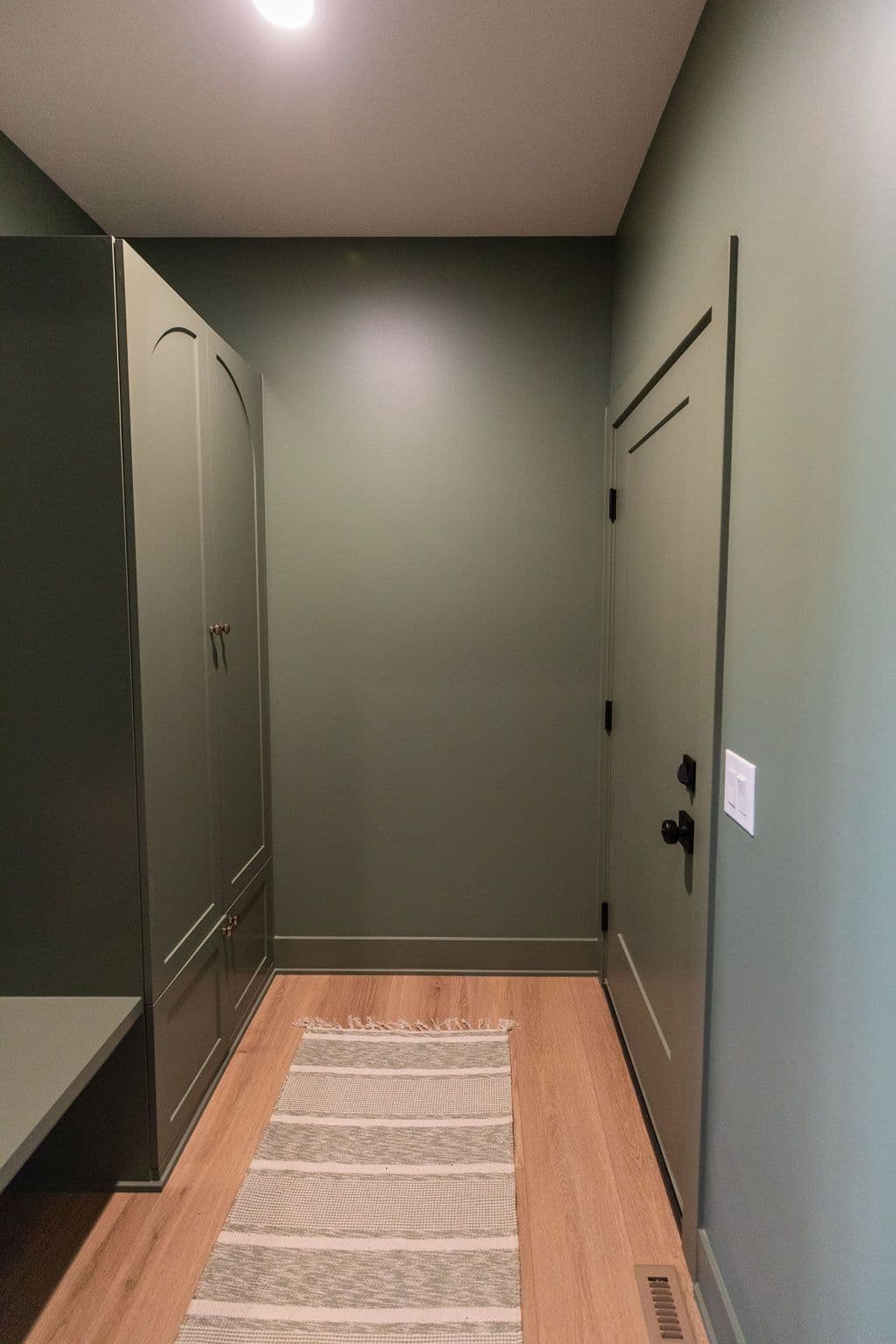 Entryway with olive green walls, wooden floors, and a striped rug leading to a door. A built-in cabinet and bench provide storage and seating.